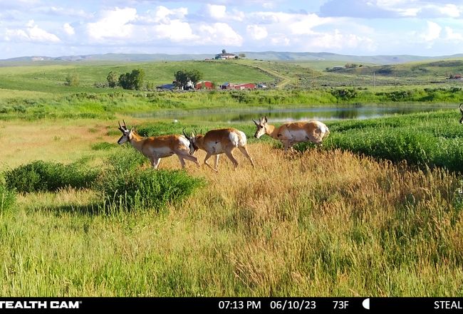 Image of 1210 County Road 103