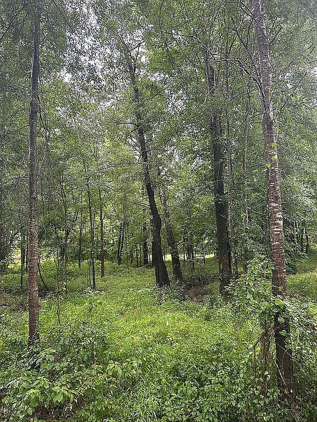 Photo of 645 Ashley Road 28, Hamburg, AR
