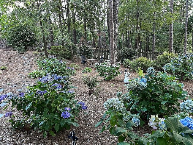 Photo of 3 Coventry Ct, North Augusta, SC