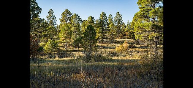 Photo of 1347 Trails Blvd, Pagosa Springs, CO