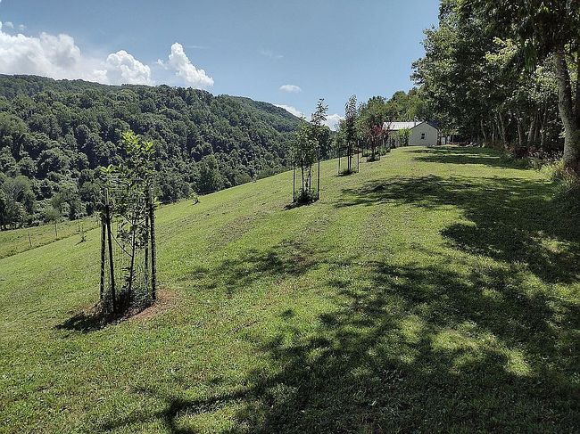Photo of 1510 Matson Dr, Marion, VA