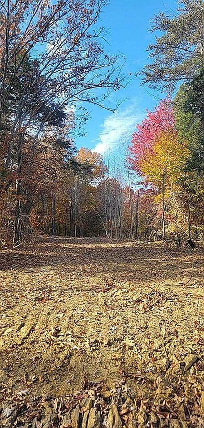 Image of 452 Eagle Point Loop