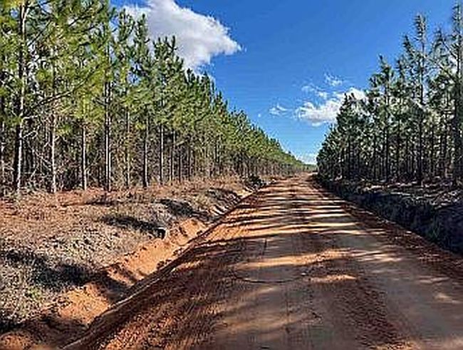 Image of 0 Penny Morris Rd