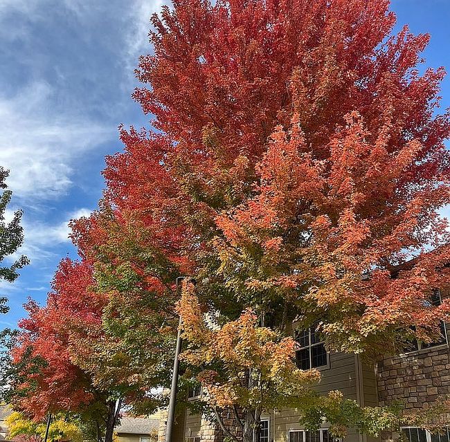 Additional photo 3 of property located at 5620 Fossil Creek Pkwy Unit 5203