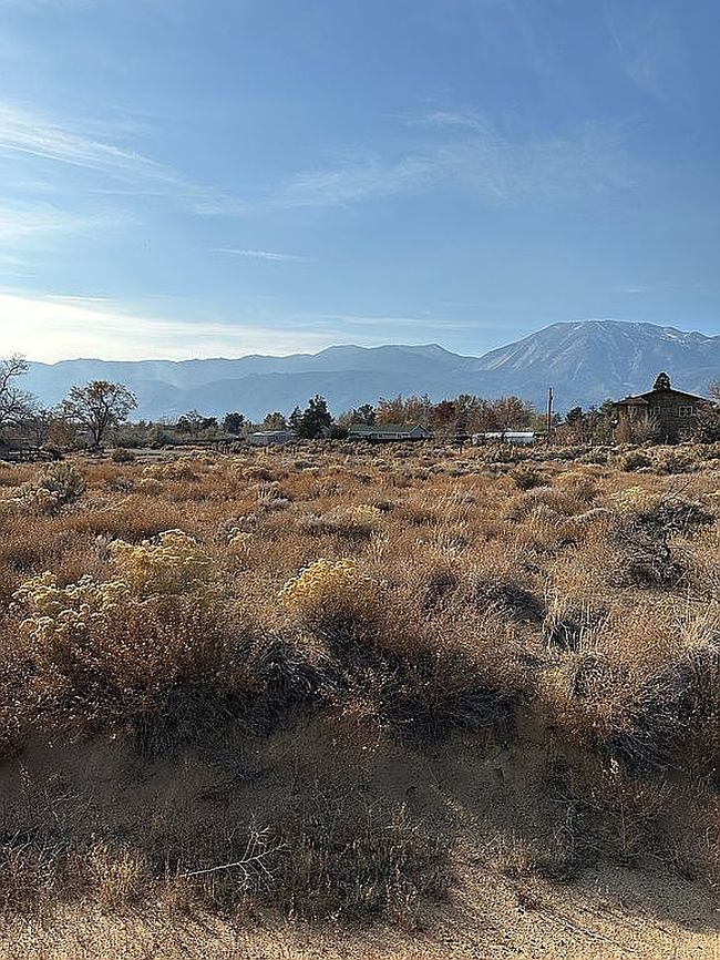 Photo of 175 Jackdaw Cir, Washoe Valley, NV