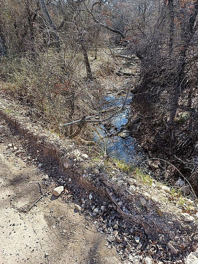 Additional photo 4 of property located at 420 County Road 266