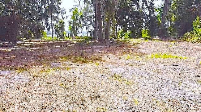 Photo of 20936 Ne 132nd Ave, Waldo, FL