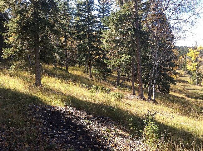 Photo of 21315 Spring Run Rd, Deadwood, SD