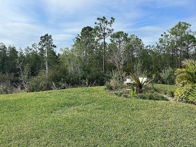 Image of 2711 Neverland Dr