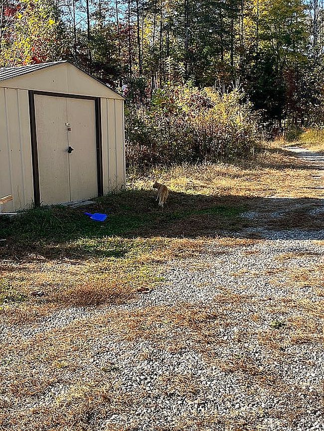 Photo of 51 Deerfield Acres Dr, Burkeville, VA