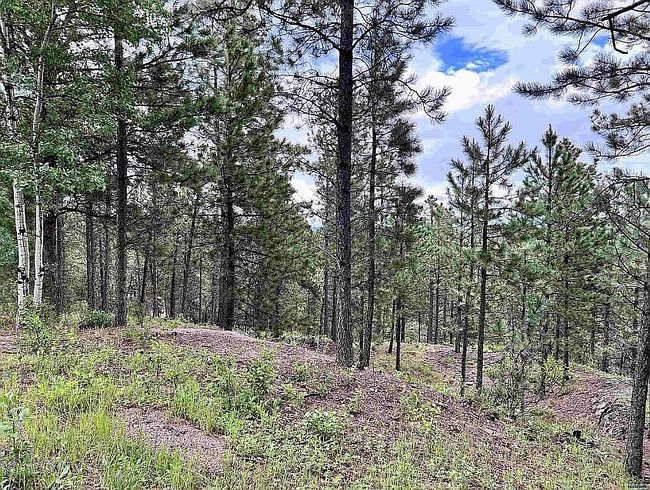 Photo of 150 Bavarian Dr, Rapid City, SD