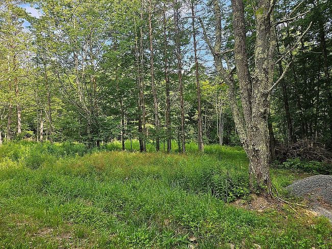 Photo of 907 Skip Gray Rd, Delancey, NY