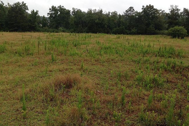 Photo of 2400 Wilson Rd Nw, Conyers, GA