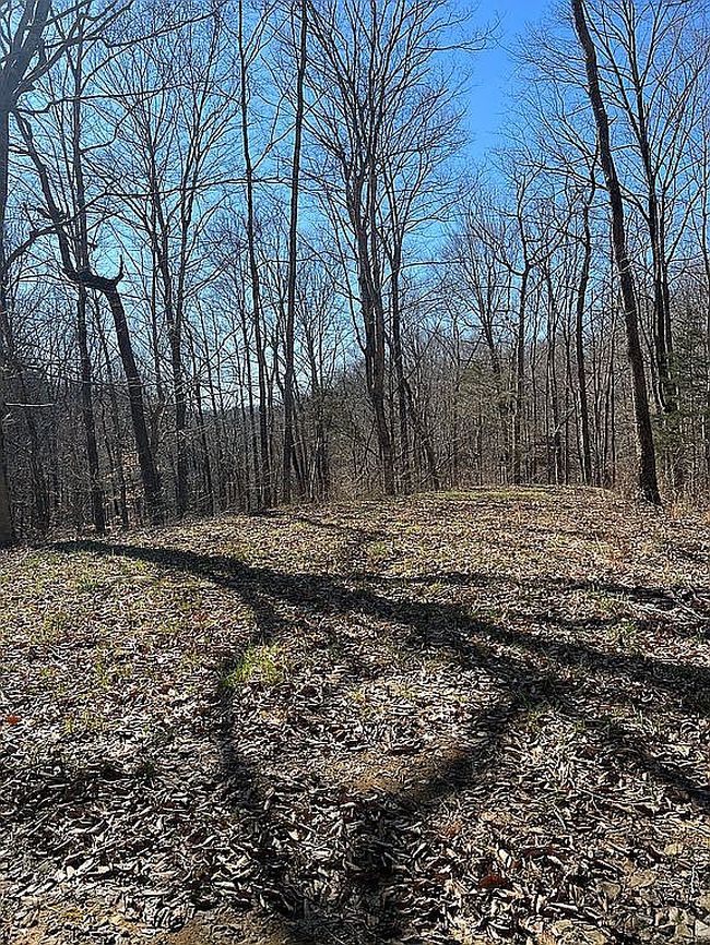 Image of 146 Bf Flatt Rd