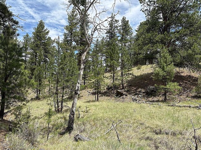 Photo of 188 Zuni Trl, Westcliffe, CO