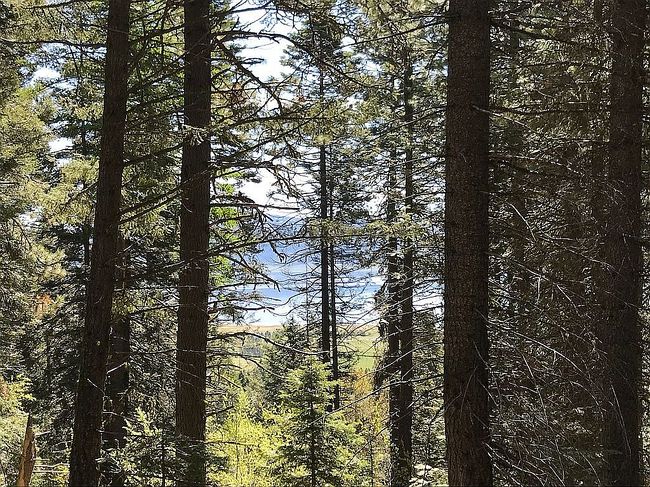 Photo of 66 Hillside Trl, Donnelly, ID