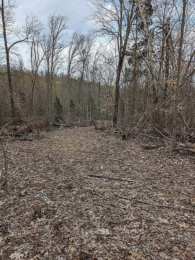 Photo of 452 Eagle Point Loop, Clarkson, KY