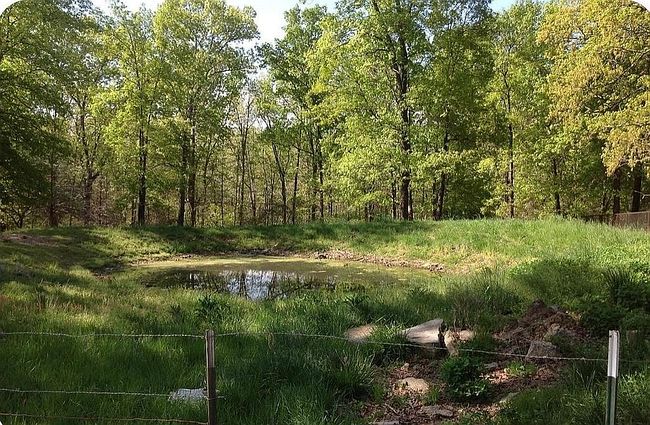 Photo of 464 County Road 362, Pottersville, MO