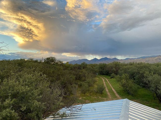 1954 N Wentworth Rd, Tucson, AZ