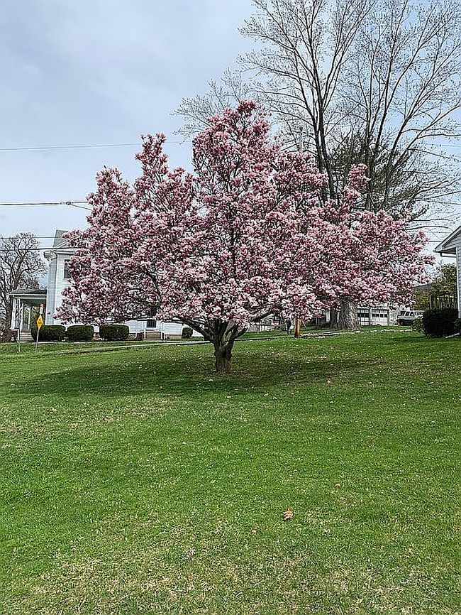 Image of 1611 Tyler Ave