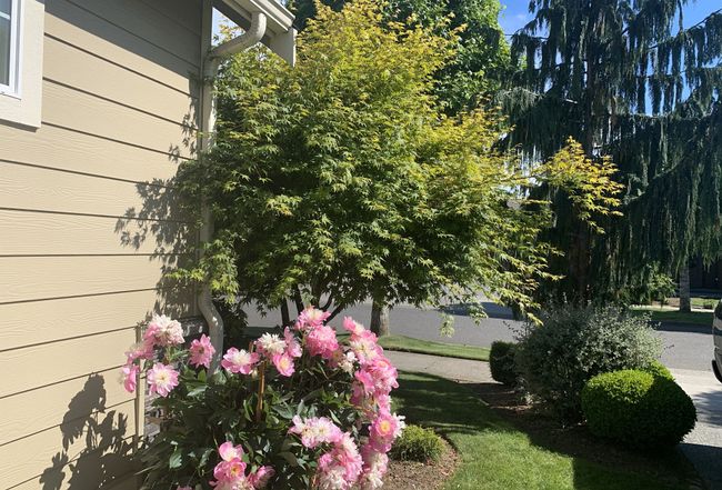 Photo of 1586 Bryce Park Loop, Lynden, WA