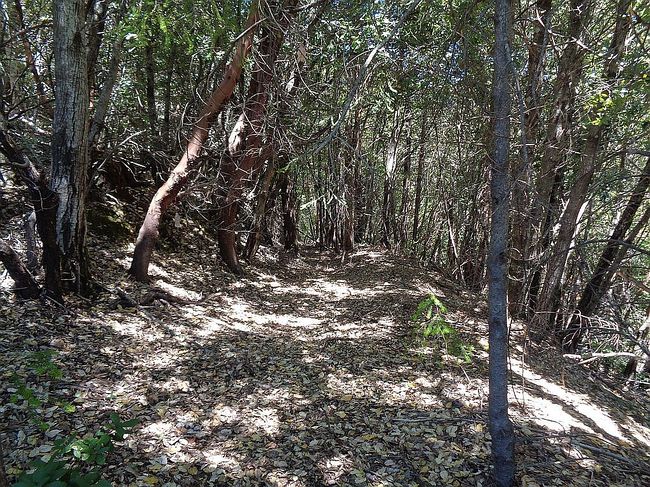 Photo of 863 Toth Rd, Whitethorn, CA