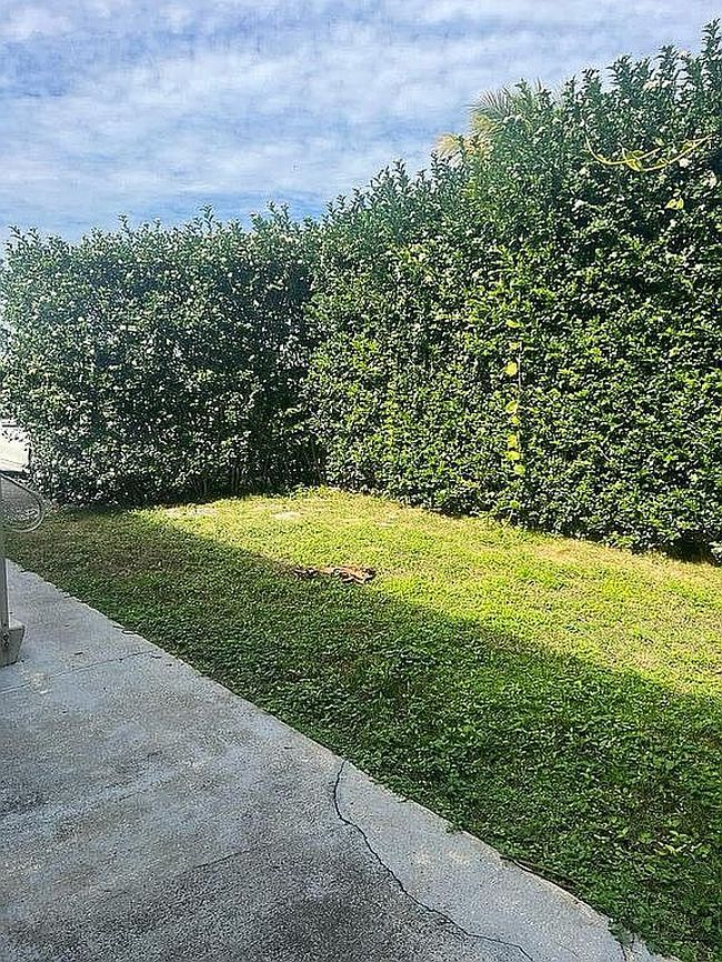 Image of 17360 Sw 232nd St #50