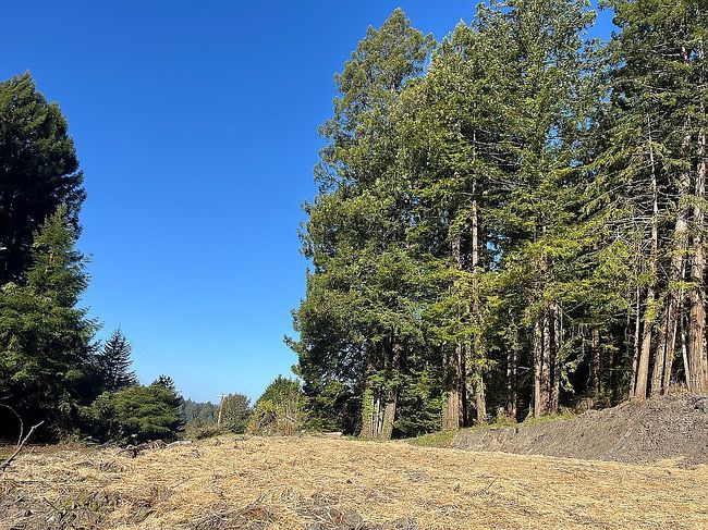 Image of 2213 Plunkett Rd