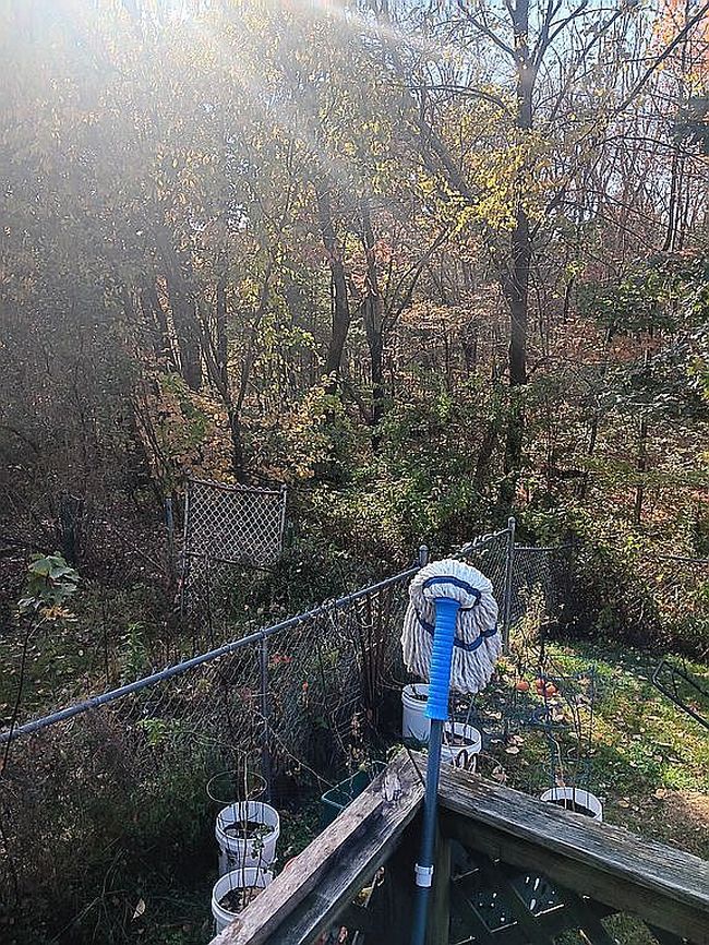 Photo of 9 Deerwood Ln, Wales, MA