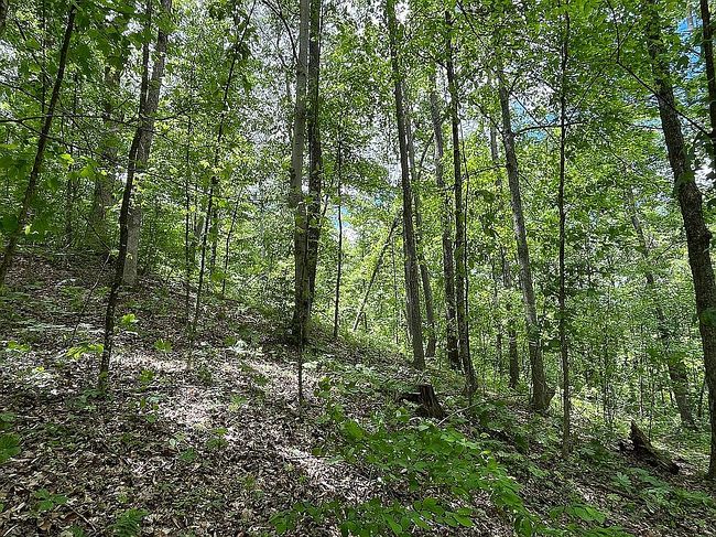 Photo of 6960 Crane Run Rd, Cumberland, OH