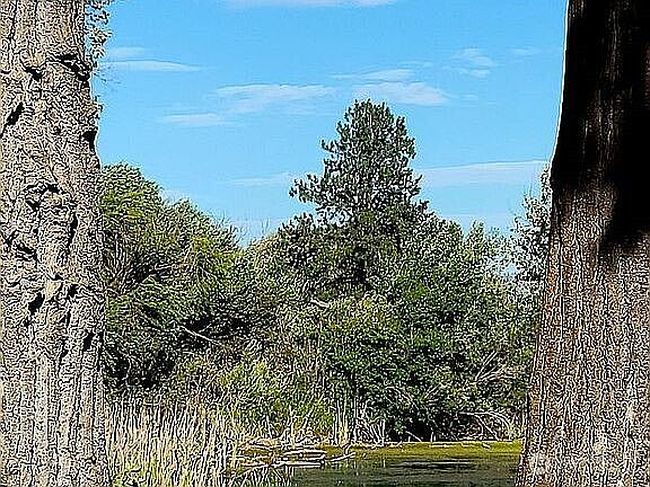 Photo of 133 Woodhouse Loop, Ellensburg, WA
