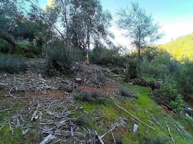 Image of 4622 Kaweah Rd