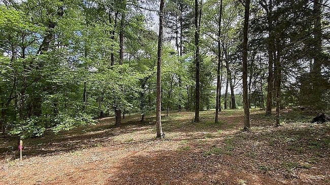Image of 329 Jim Arrant Rd #105Ac
