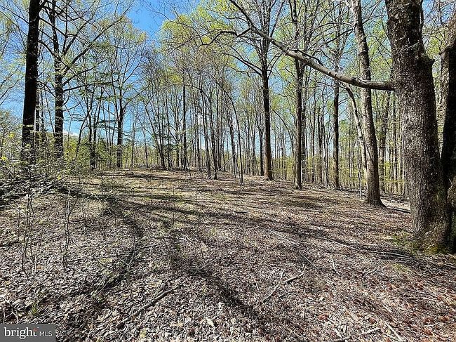 Image of 8305 Trumps Hill Rd