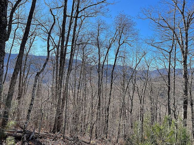 Preview of property located at 0 N Jones Creek Rd