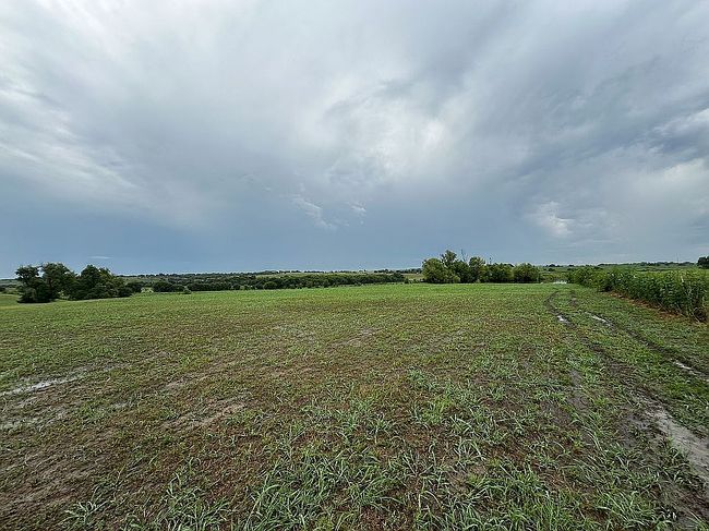 Photo of 4462 Fm 67, Grandview, TX