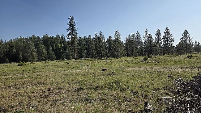 Additional photo 2 of property located at 20 End Of Road Rd