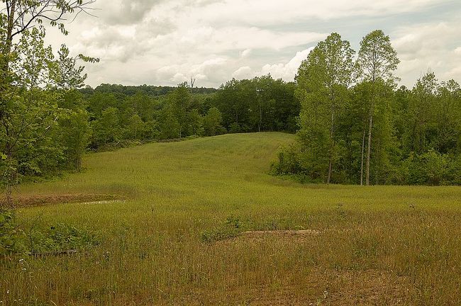Photo of 0 Oakland Rd