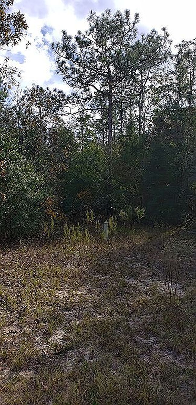 Image of 6133 Cornell Rd