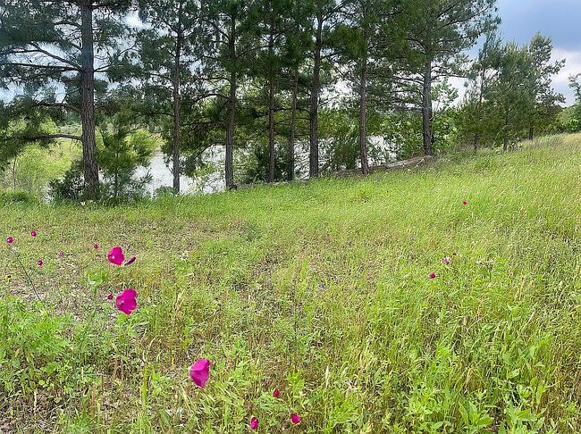 Photo of 493 Cottle Town Rd Unit C, Smithville, TX