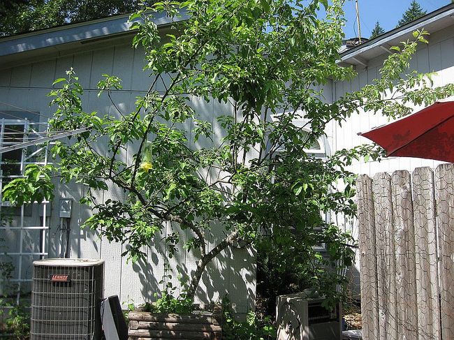 Photo of 15790 Oakdale Rd, Dallas, OR