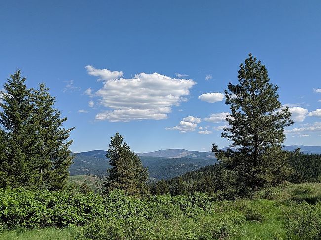 Image of 0 Lot Big Goosmus Creek Rd