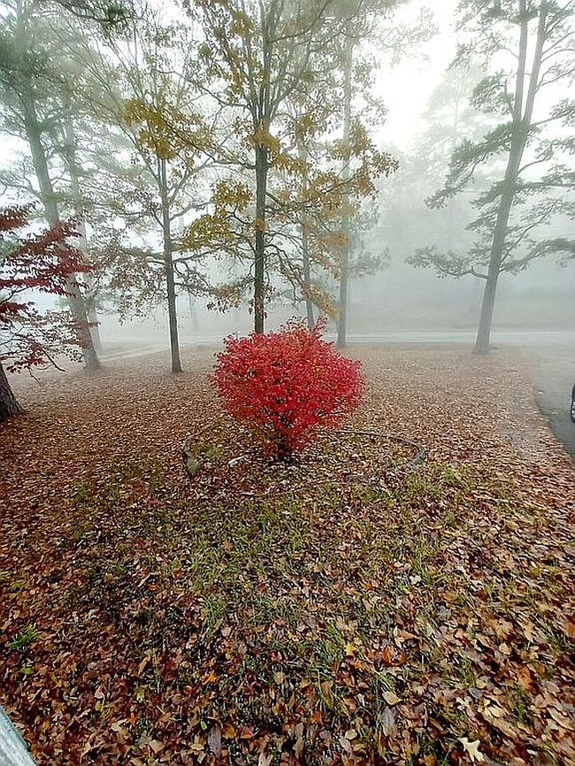 Photo of 114 Jordan St, Hot Springs, AR