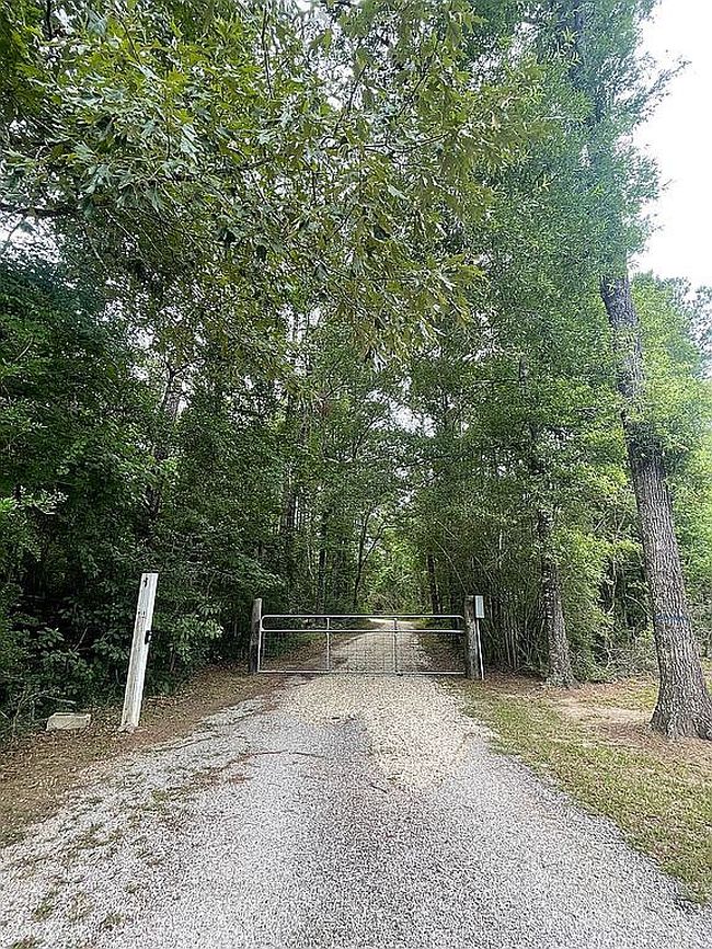 23120 Gum Swamp Rd, Livingston, LA