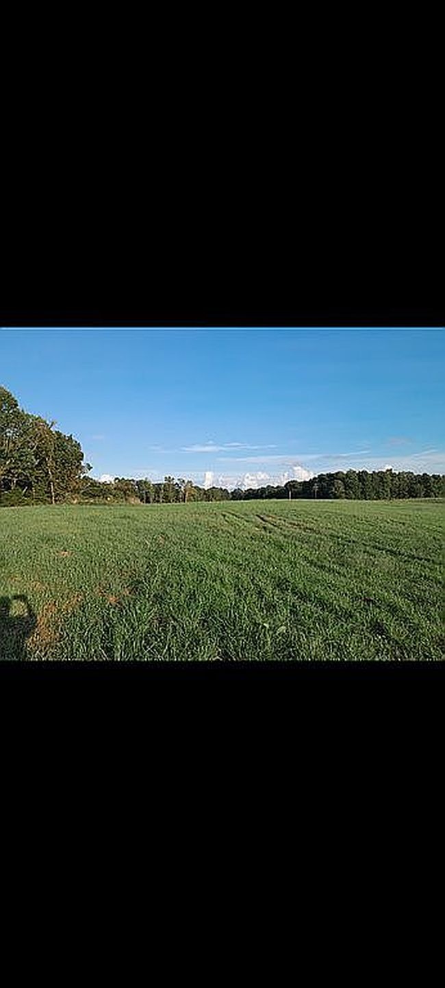 Image of 1479 Railroad Bed Rd