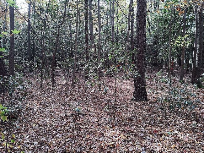 Image of 1216 Back Creek Rd