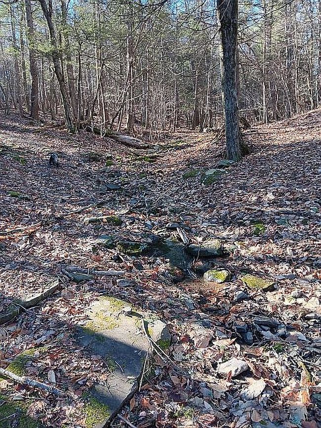 Photo of 0 Cochrane Rd, Durham, NY