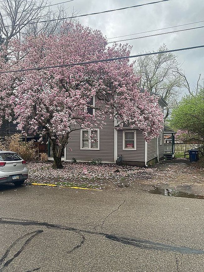 Image of 29 N Shafer St