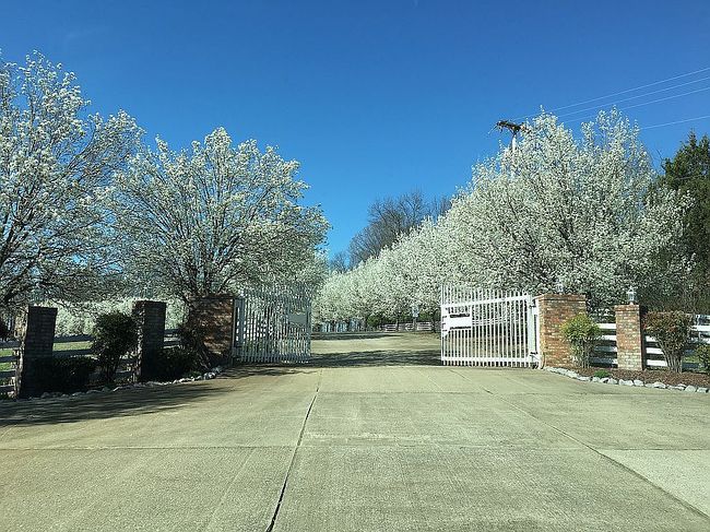 Image of 4712 Mount Zion Rd