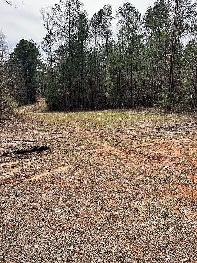 Image of 34 Holiday Rd